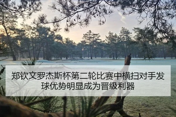 郑钦文罗杰斯杯第二轮比赛中横扫对手发球优势明显成为晋级利器